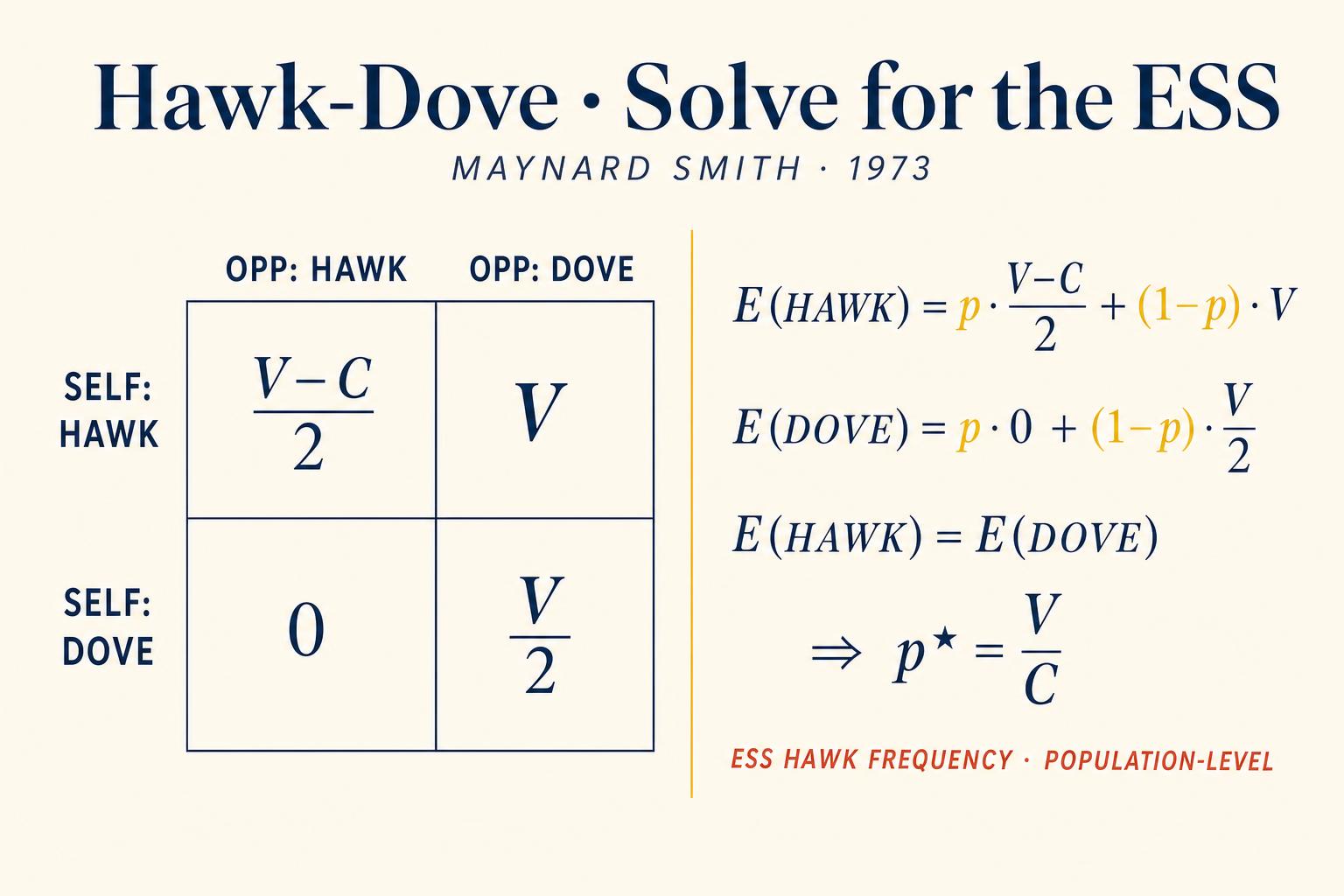 The Hawk-Dove payoff matrix and the algebra that produces the ESS hawk frequency p★ = V / C. The derivation lives entirely in the population, not the individual: no animal needs to compute anything. Selection finds the mix in which Hawk and Dove break even.