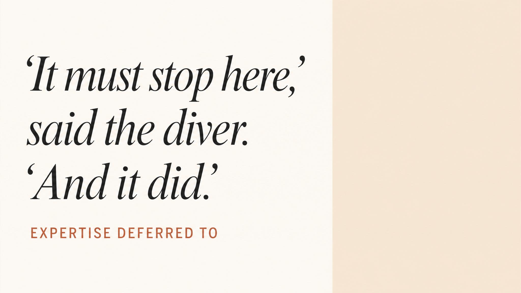 The diver who said stop