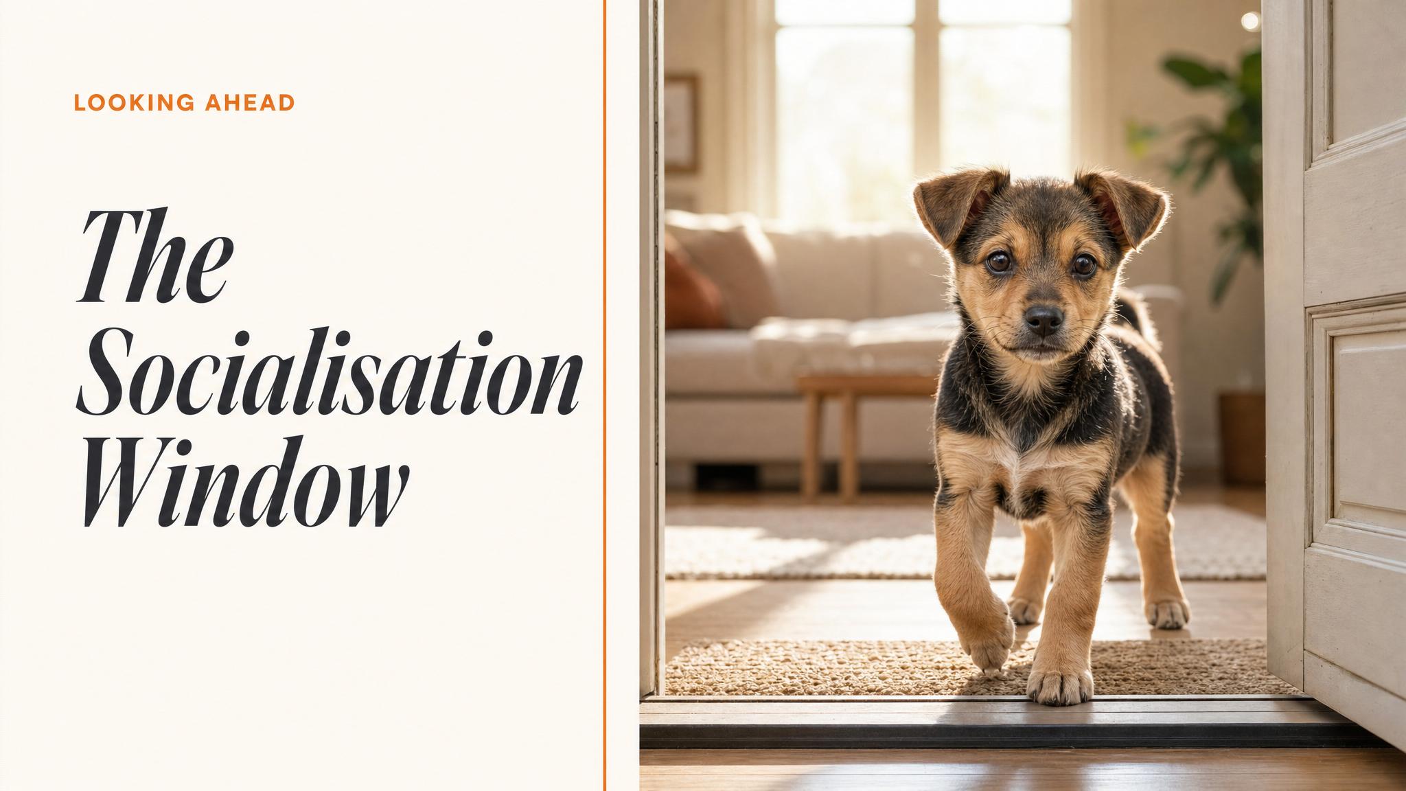 Closing — looking ahead to socialisation