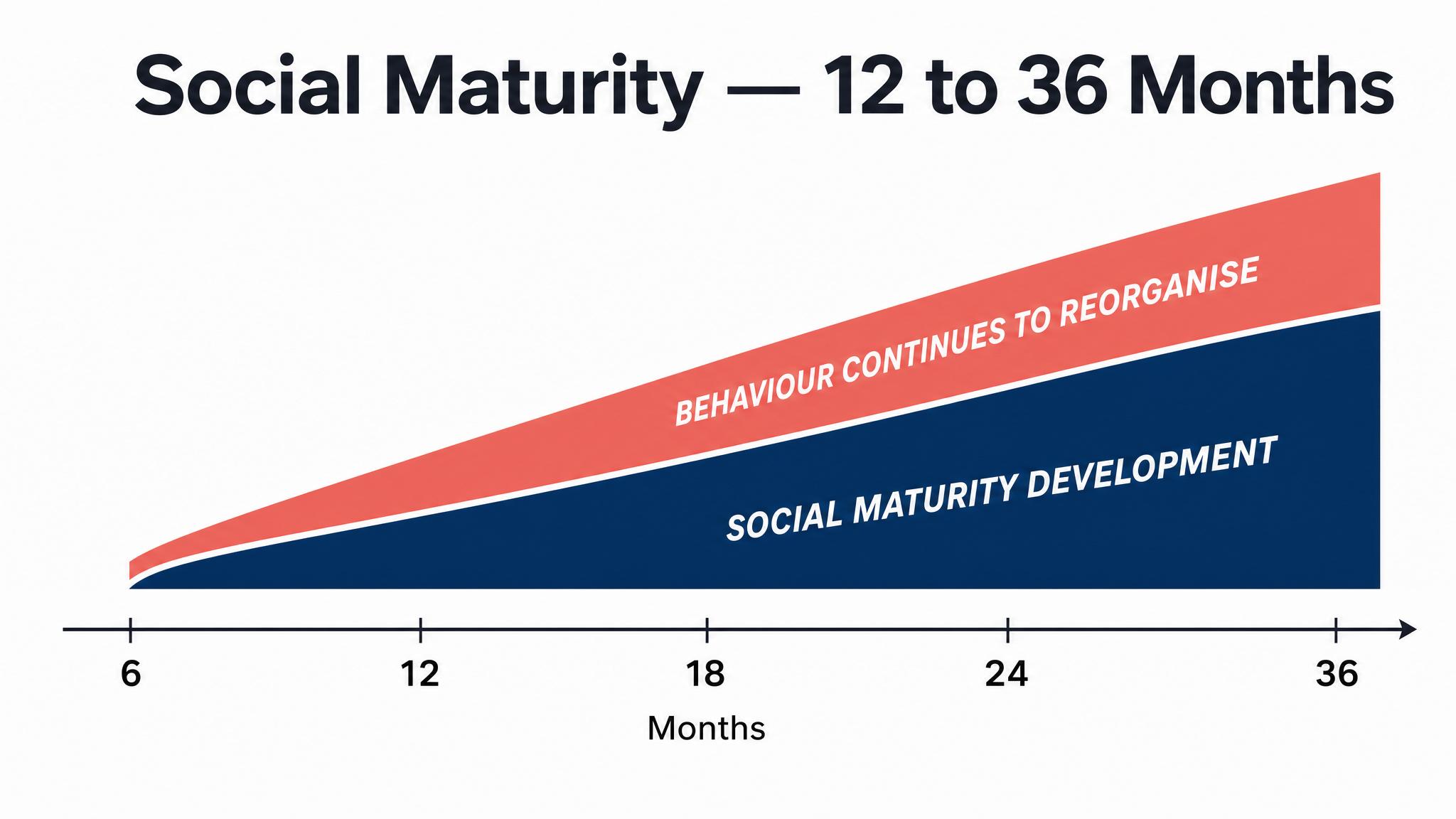 Social Maturity — 12 to 36 Months