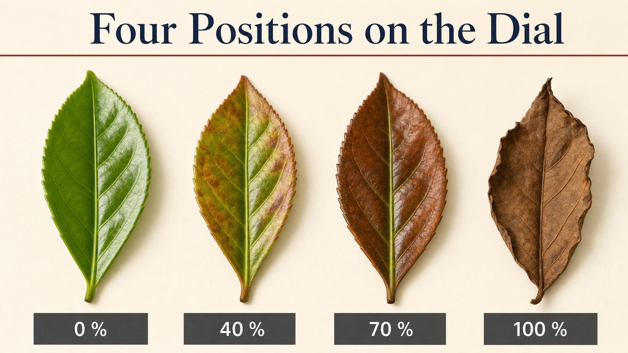 Four positions on the dial