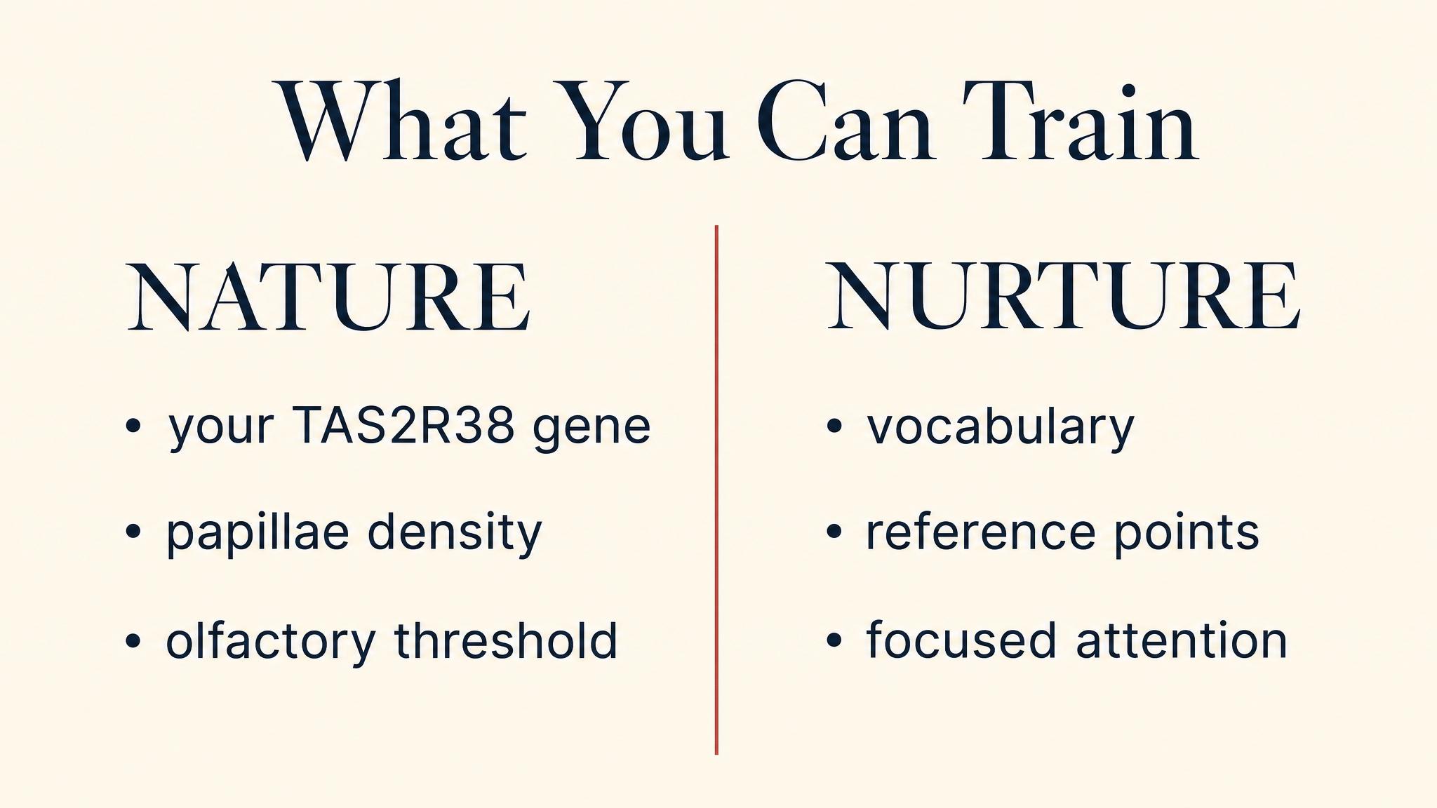 What you can train