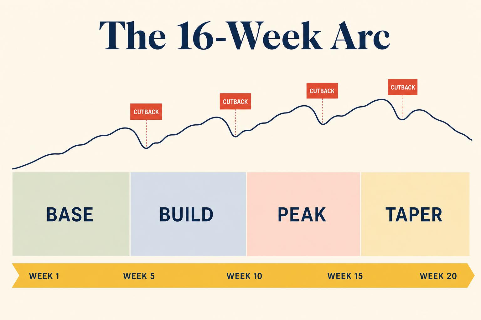 The 16-week arc of a marathon plan: a base, a build, a peak, and a taper, with a small cutback week tucked in every three weeks. The whole architecture pulses build–build–recover.