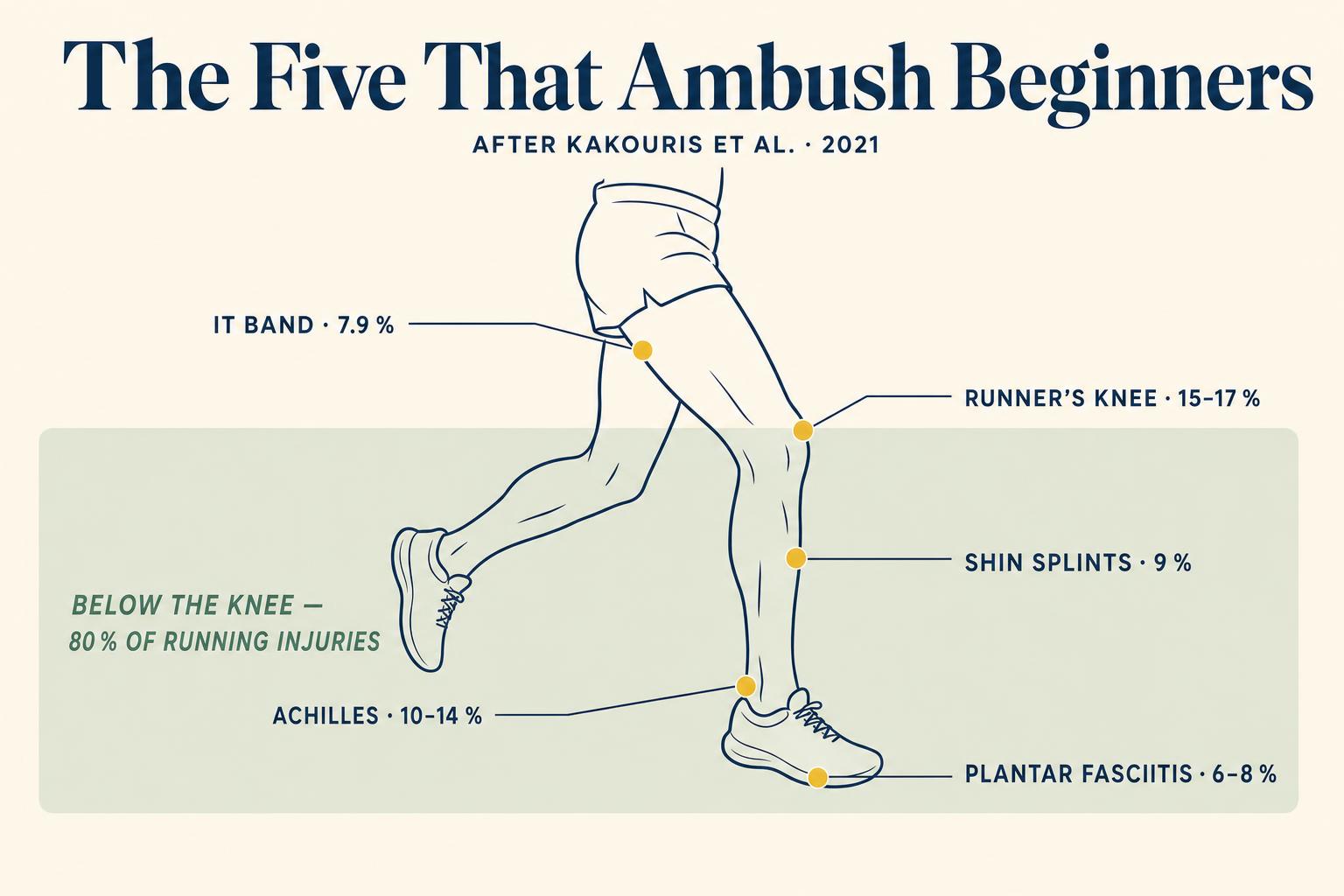 A clean anatomical map of the five injury hotspots that account for the majority of beginner running injuries — knee, IT band, shin, Achilles, and heel.