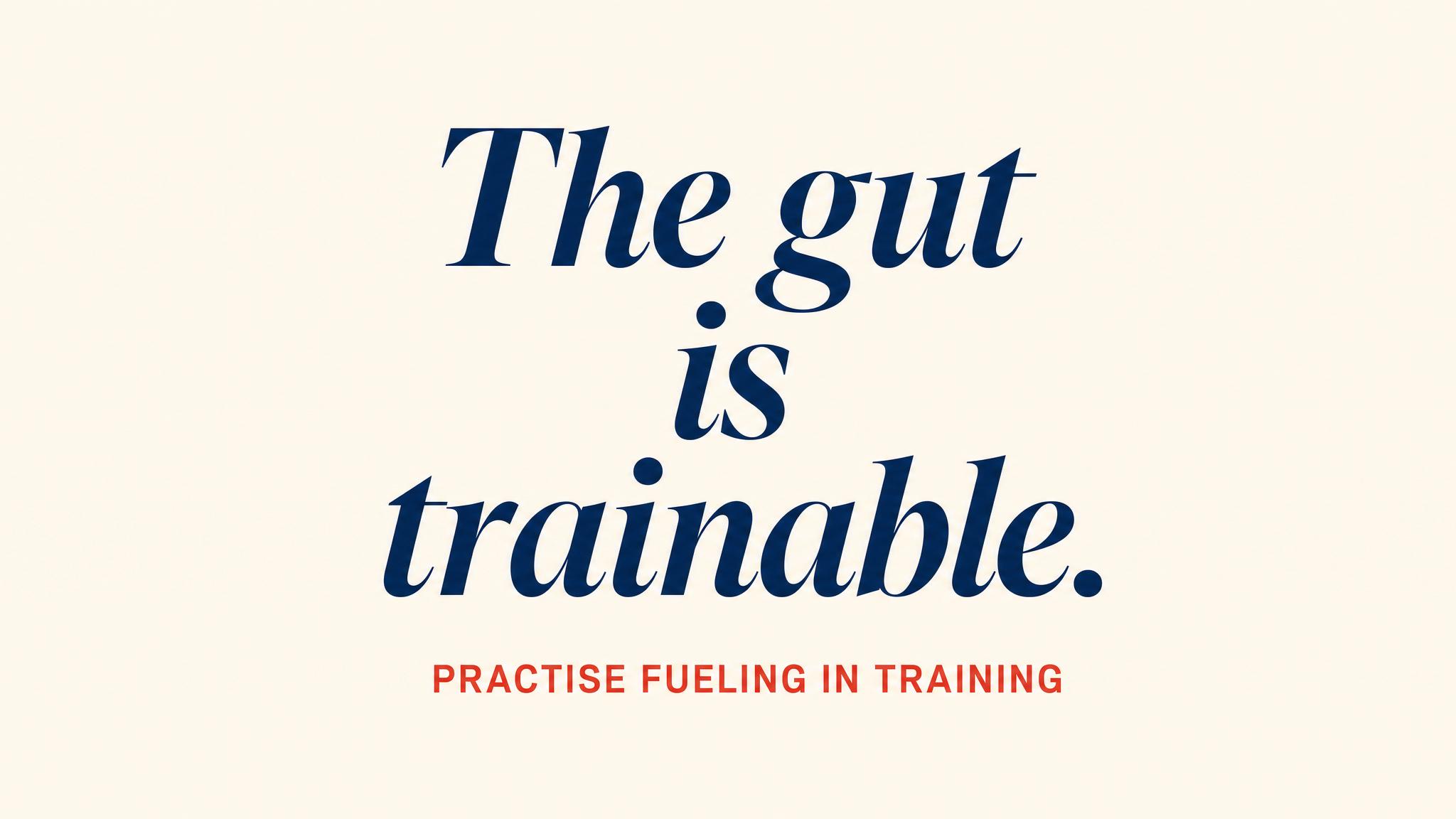 The gut is trainable