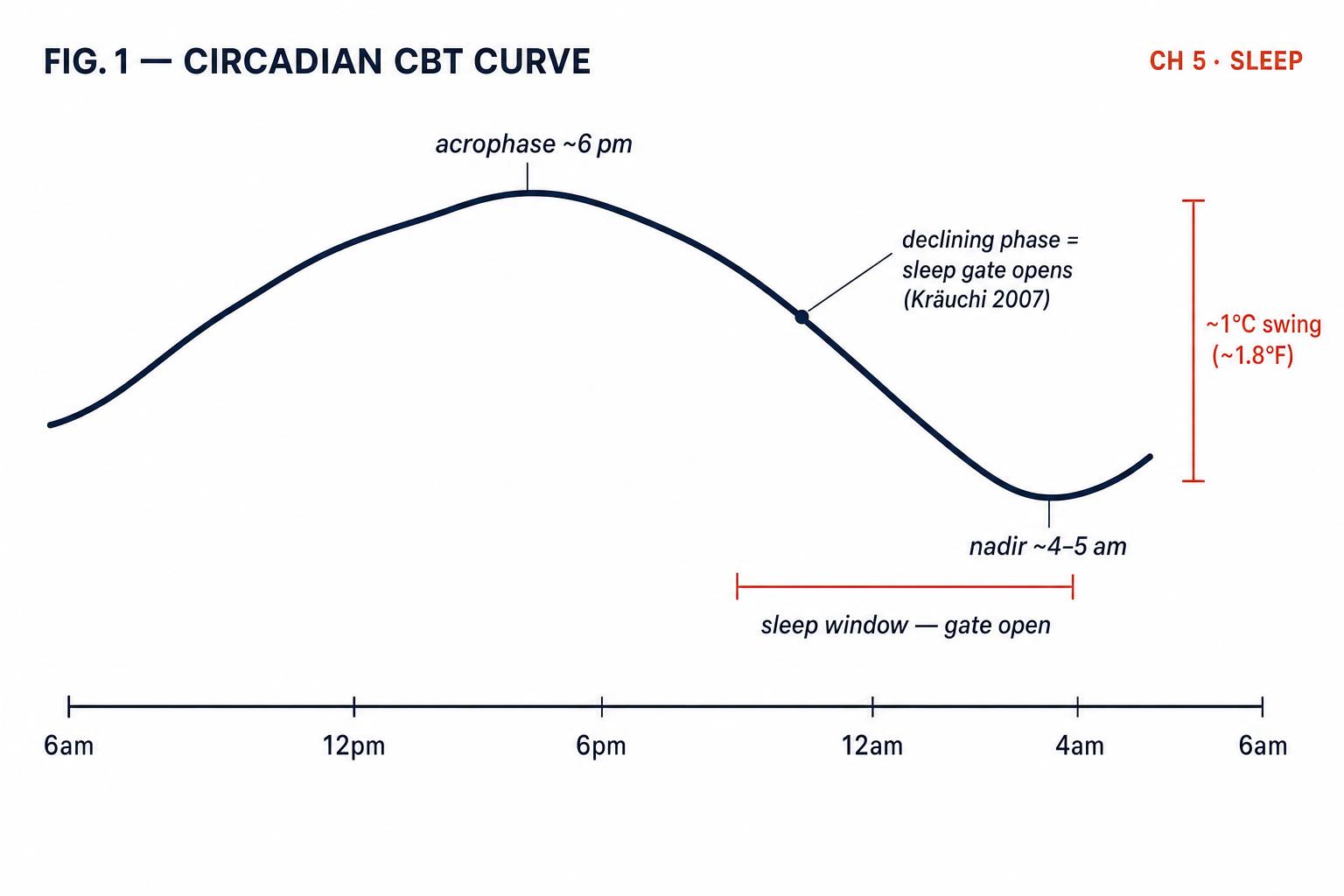 The 24-hour core body temperature curve. The ~1°C swing isn't a side-effect of sleep — it is what opens the gate to sleep.