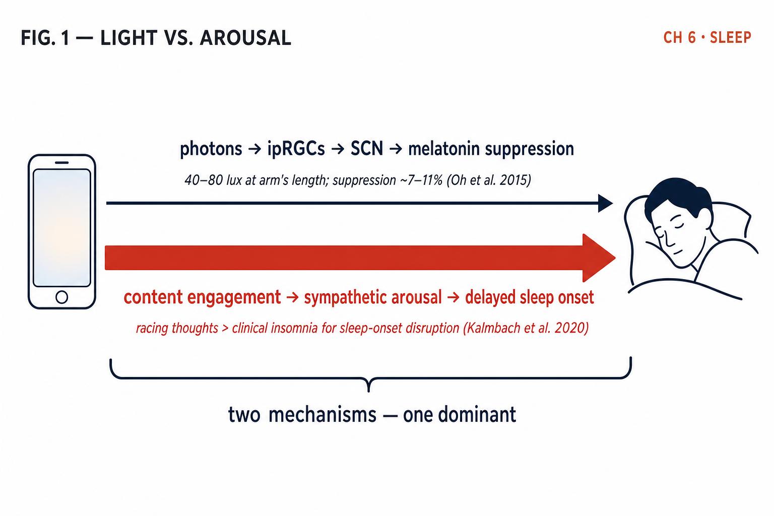 Two pathways from screen to sleep disruption. The blue-light story is real, but the arrow that matters is the one underneath — content engagement and sympathetic arousal keep the nervous system pressed against the accelerator.