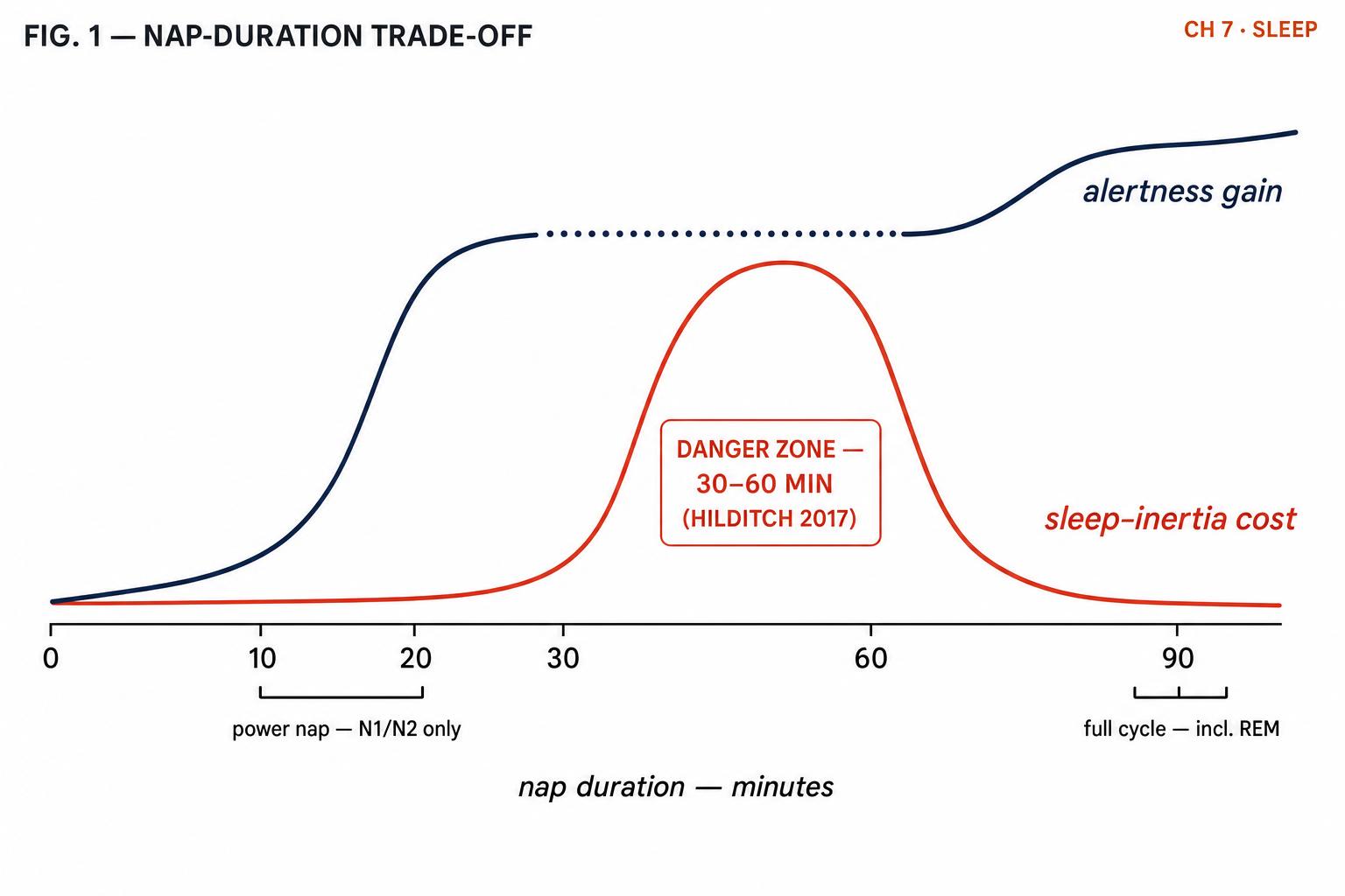 The two curves that decide every nap. Stay before 20 minutes, or commit to 90 — the middle is where good intentions go to die.