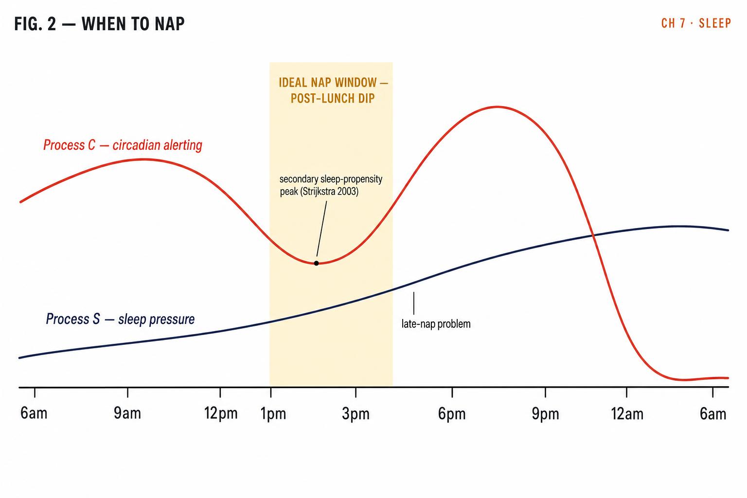 The Chapter 1 curve, revisited. The shaded 1–3pm band is the secondary sleep-propensity peak — the only nap window your biology actually offers you.