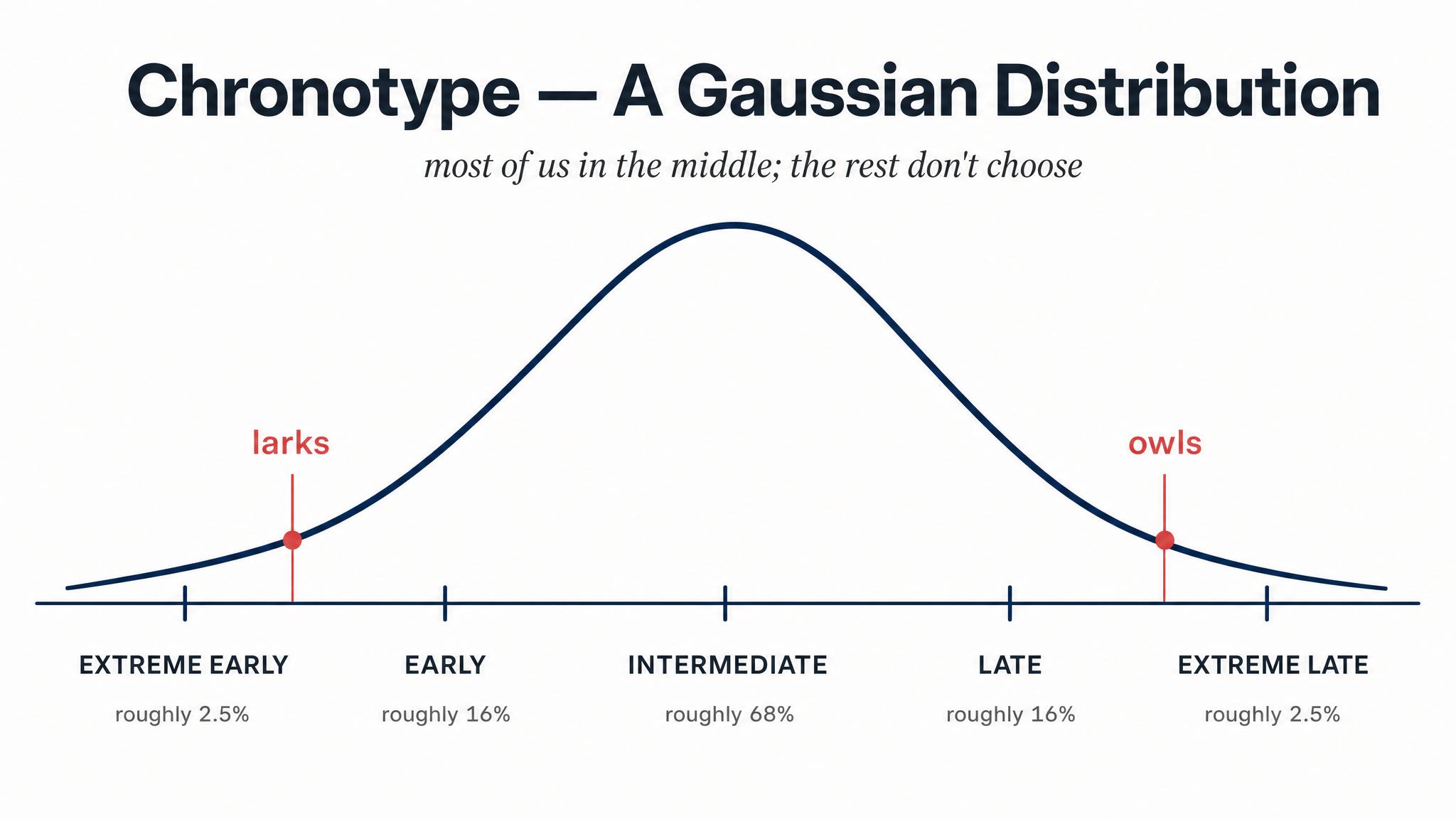 Chronotype — a Gaussian distribution