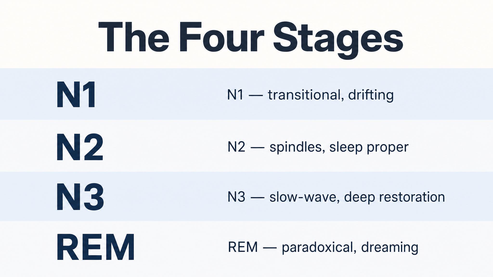 The four stages