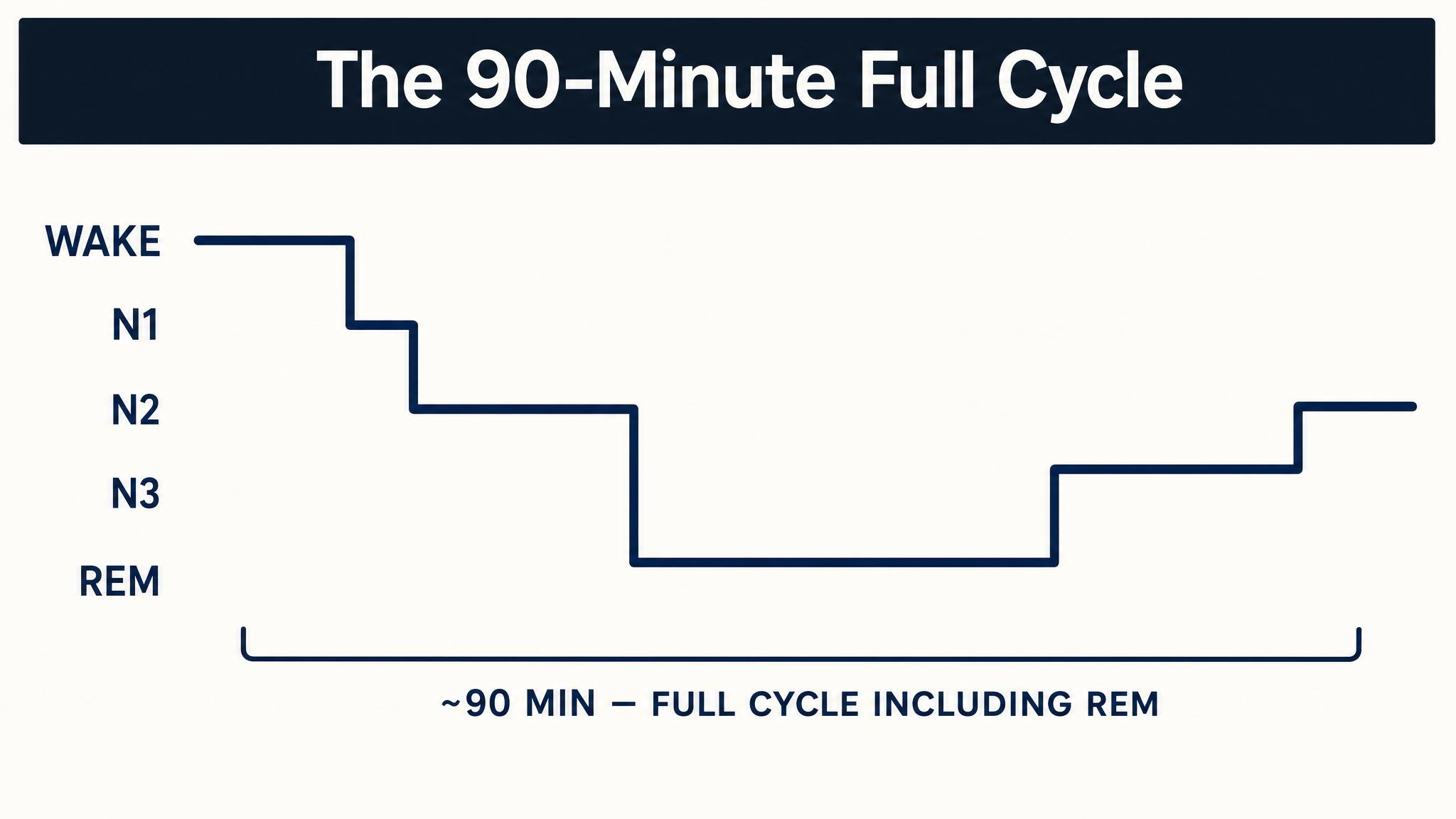 The 90-minute full cycle